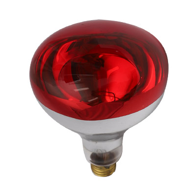 infrared lamp (red bulb) infrared lamp (red bulb)